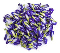 Nelson's Tea - Butterfly Pea Flower - Whole - 16 oz/(453.6g): 16 oz/(453.6g)